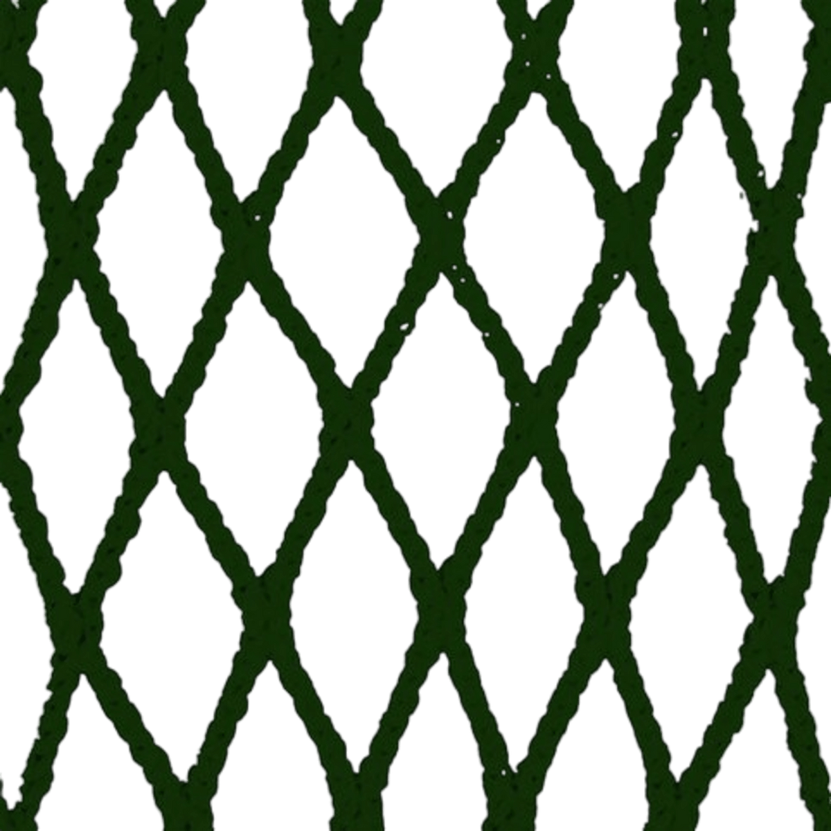 A green fishnet pattern with diamond-shaped openings, similar to the Lax.com 6D Mesh, is set against a dark green background. The netting creates a repetitive, symmetrical design.