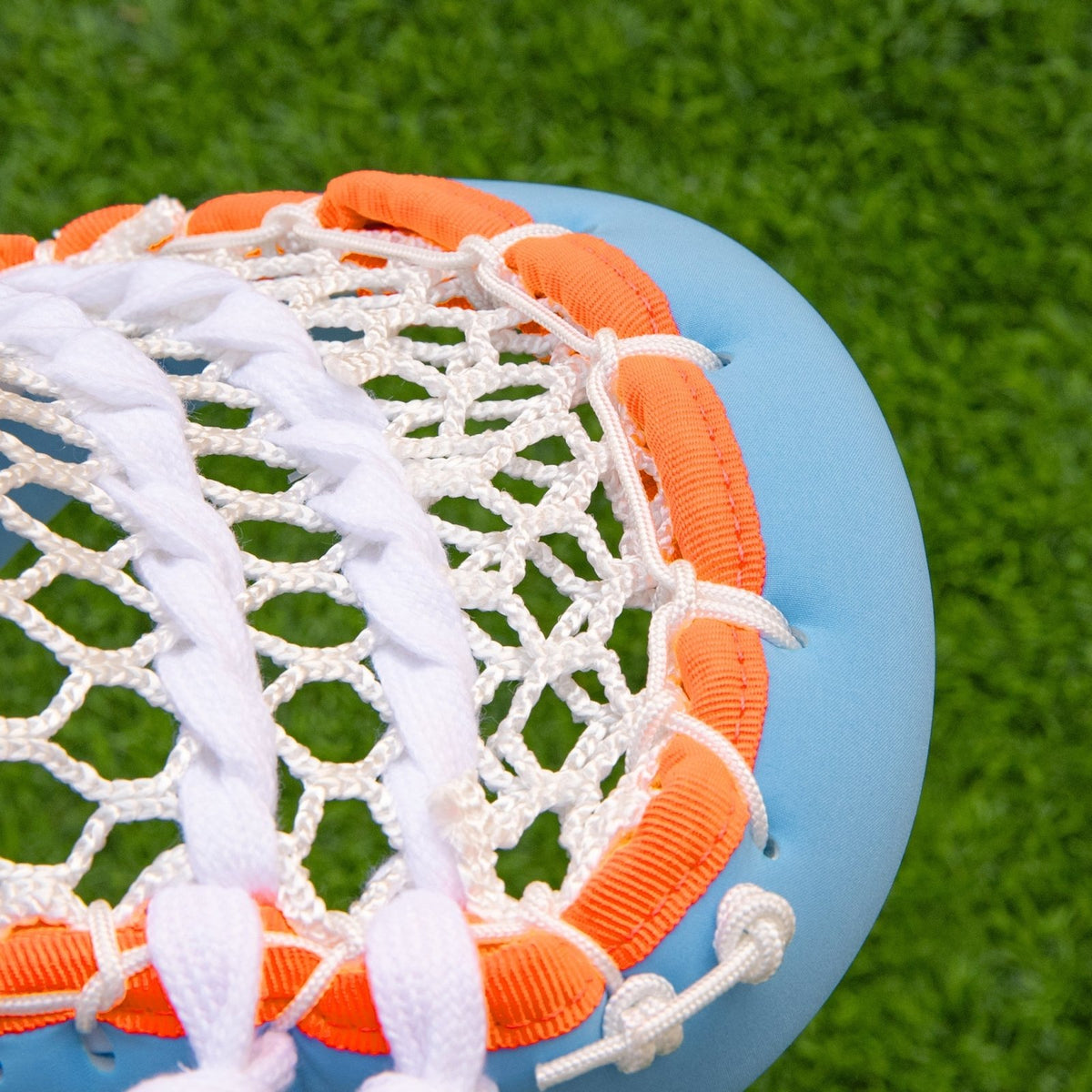 The Goldfish Memory Fiddle Stick Lax.com